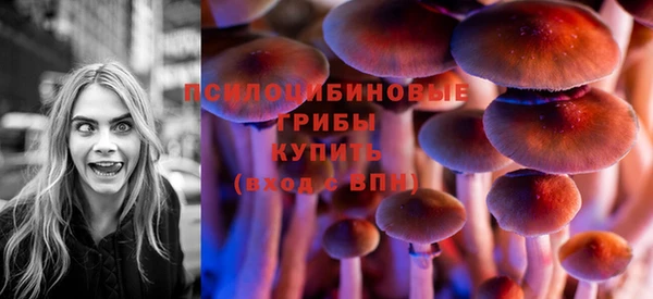шишки Аркадак