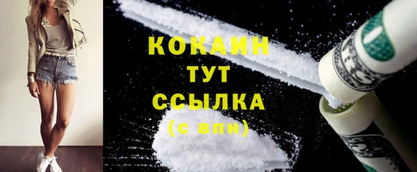 шишки Аркадак