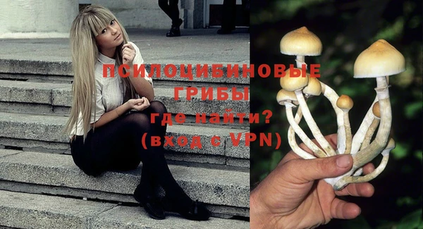 МДПВ Арсеньев