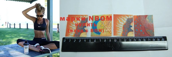 шишки Аркадак