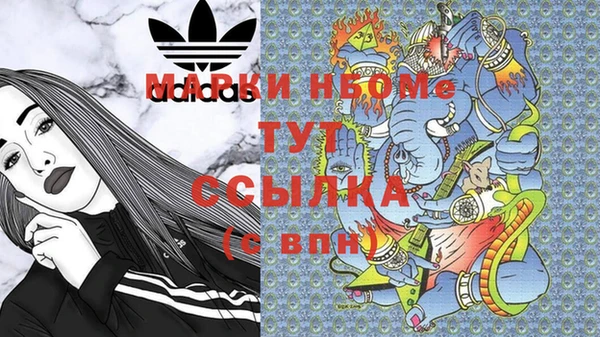 шишки Аркадак