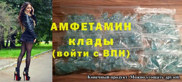 прущие грибы Няндома