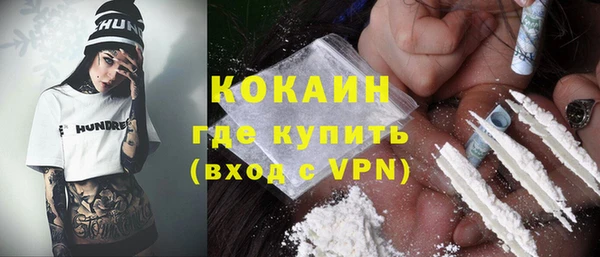 шишки Аркадак